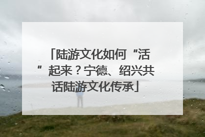 陆游文化如何“活 ”起来？宁德、绍兴共话陆游文化传承