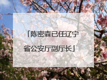 陈密森已任辽宁省公安厅副厅长