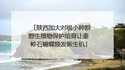 陕西加大对极小种群野生植物保护培育让秦岭石蝴蝶焕发新生机