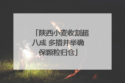 陕西小麦收割超八成 多措并举确保颗粒归仓