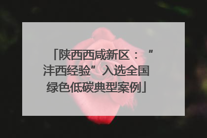 陕西西咸新区：“沣西经验”入选全国绿色低碳典型案例