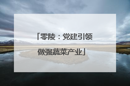 零陵：党建引领 做强蔬菜产业