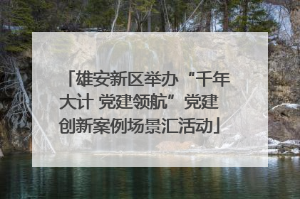 雄安新区举办“千年大计 党建领航”党建创新案例场景汇活动