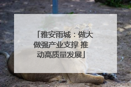 雅安雨城：做大做强产业支撑 推动高质量发展