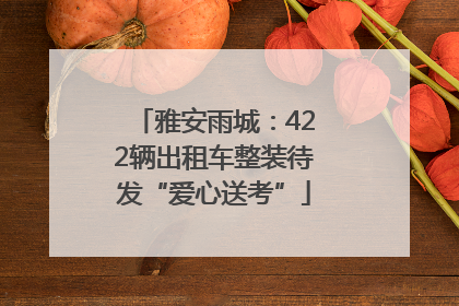 雅安雨城：422辆出租车整装待发“爱心送考”