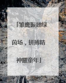 雏鹰振翅绿茵场，拼搏精神耀童年