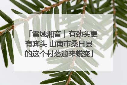 雪域湘音｜有劲头更有奔头 山南市桑日县的这个村落迎来蜕变