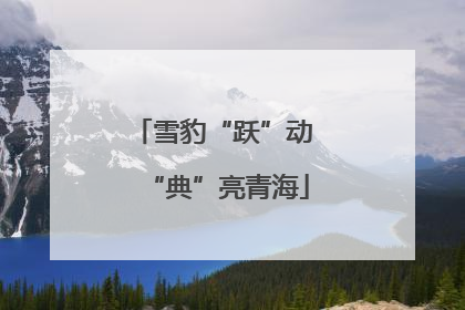 雪豹“跃”动 “典”亮青海