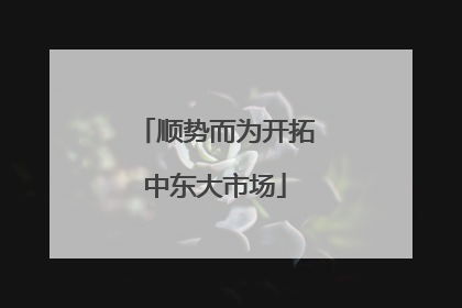顺势而为开拓中东大市场