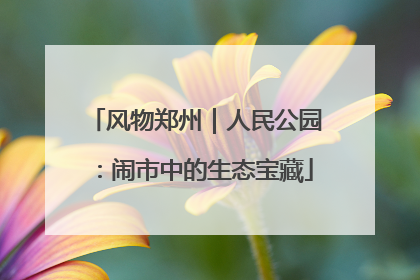风物郑州｜人民公园：闹市中的生态宝藏