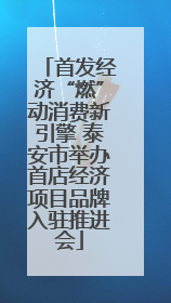 首发经济“燃”动消费新引擎 泰安市举办首店经济项目品牌入驻推进会