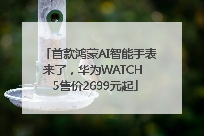 首款鸿蒙AI智能手表来了，华为WATCH 5售价2699元起