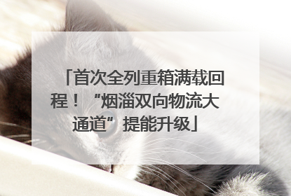首次全列重箱满载回程！“烟淄双向物流大通道”提能升级