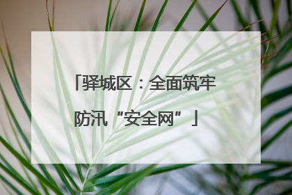 驿城区：全面筑牢防汛“安全网”