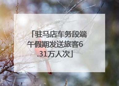 驻马店车务段端午假期发送旅客6.31万人次