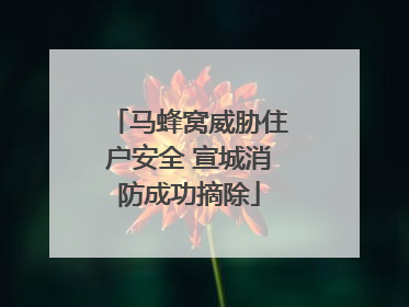马蜂窝威胁住户安全 宣城消防成功摘除