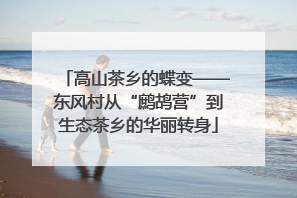 高山茶乡的蝶变——东风村从“鹧鸪营”到生态茶乡的华丽转身