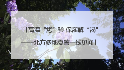 高温“烤”验 保灌解“渴”——北方多地夏管一线见闻