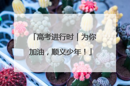 高考进行时｜为你加油，顺义少年！