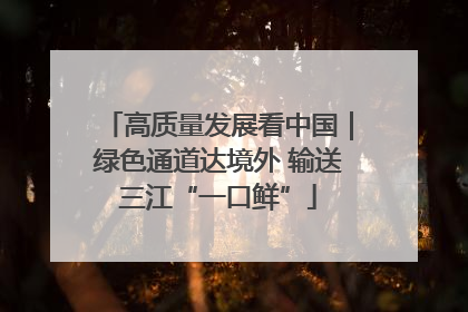 高质量发展看中国｜绿色通道达境外 输送三江“一口鲜”