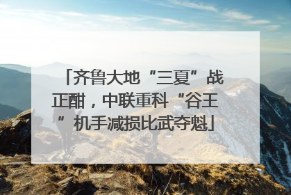齐鲁大地“三夏”战正酣，中联重科“谷王”机手减损比武夺魁