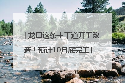 龙口这条主干道开工改造！预计10月底完工