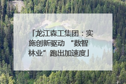 龙江森工集团：实施创新驱动 “数智林业”跑出加速度