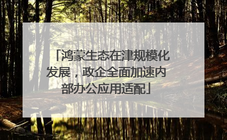 鸿蒙生态在津规模化发展，政企全面加速内部办公应用适配