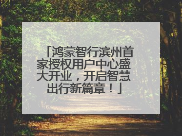鸿蒙智行滨州首家授权用户中心盛大开业，开启智慧出行新篇章！