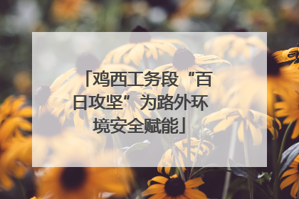 鸡西工务段“百日攻坚”为路外环境安全赋能