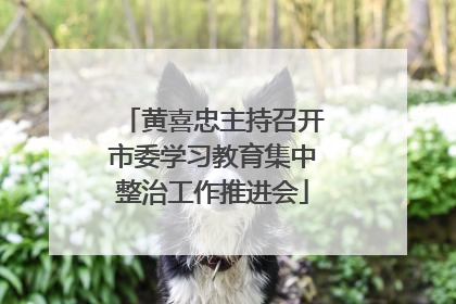 黄喜忠主持召开市委学习教育集中整治工作推进会