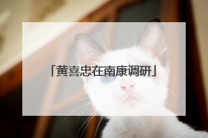 黄喜忠在南康调研
