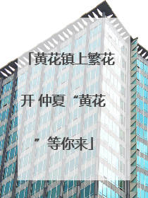 黄花镇上繁花开 仲夏“黄花”等你来