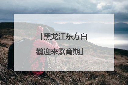 黑龙江东方白鹳迎来繁育期