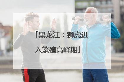 黑龙江：狮虎进入繁殖高峰期