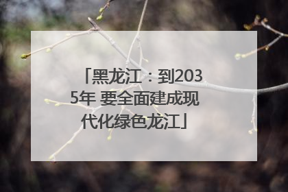 黑龙江：到2035年 要全面建成现代化绿色龙江