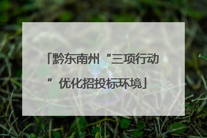 黔东南州“三项行动”优化招投标环境