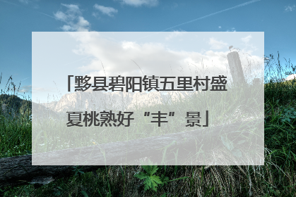 黟县碧阳镇五里村盛夏桃熟好“丰”景