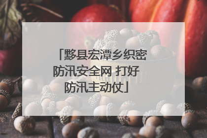 黟县宏潭乡织密防汛安全网 打好防汛主动仗