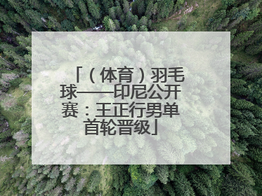 （体育）羽毛球——印尼公开赛：王正行男单首轮晋级