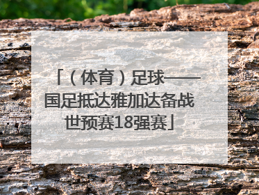 （体育）足球——国足抵达雅加达备战世预赛18强赛