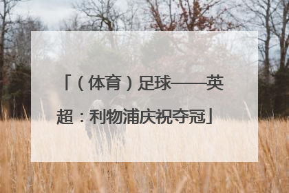（体育）足球——英超：利物浦庆祝夺冠
