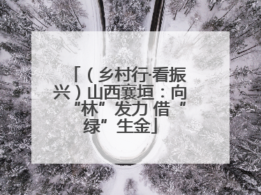 （乡村行·看振兴）山西襄垣：向“林”发力 借“绿”生金