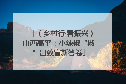 （乡村行·看振兴）山西高平：小辣椒“椒”出致富新答卷