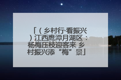 （乡村行·看振兴）江西鹰潭月湖区：杨梅压枝迎客来 乡村振兴添“梅”景