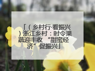 （乡村行·看振兴）浙江乡村：时令果蔬迎丰收 “甜蜜经济”促振兴