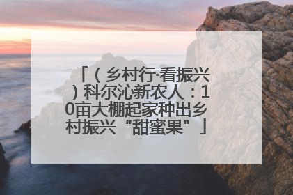 （乡村行·看振兴）科尔沁新农人：10亩大棚起家种出乡村振兴“甜蜜果”