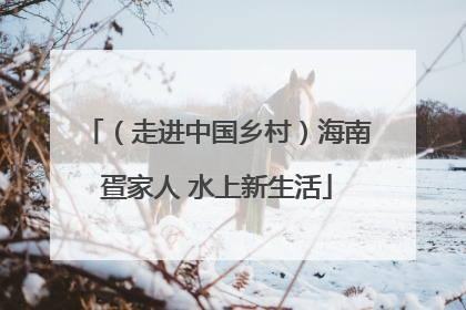 （走进中国乡村）海南疍家人 水上新生活