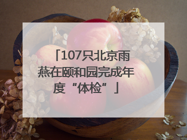 107只北京雨燕在颐和园完成年度“体检”