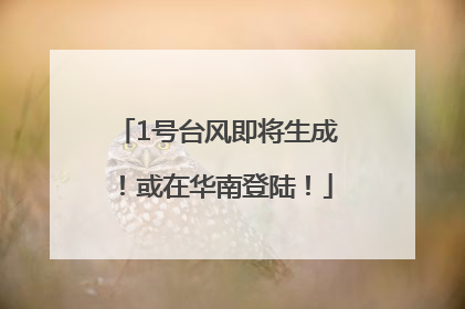 1号台风即将生成！或在华南登陆！